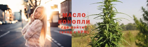 молекула духа Богородицк