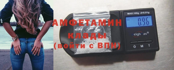 молекула духа Богородицк
