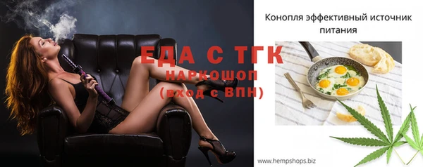 молекула духа Богородицк