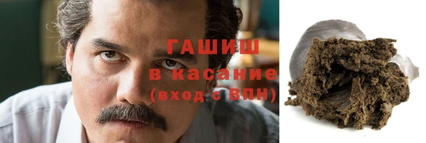 молекула духа Богородицк