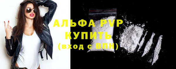 молекула духа Богородицк