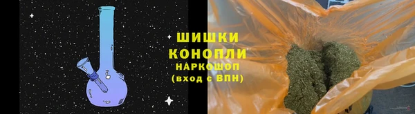крисы Богородск