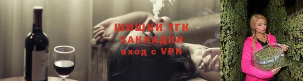 молекула духа Богородицк
