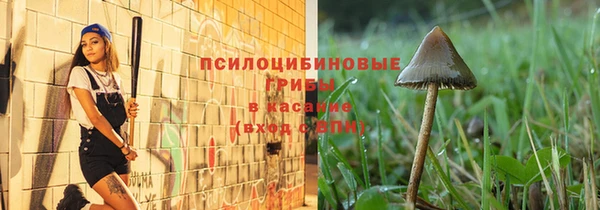 mdpv Бугульма