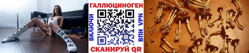 Галлюциногенные грибы мицелий  Короча 